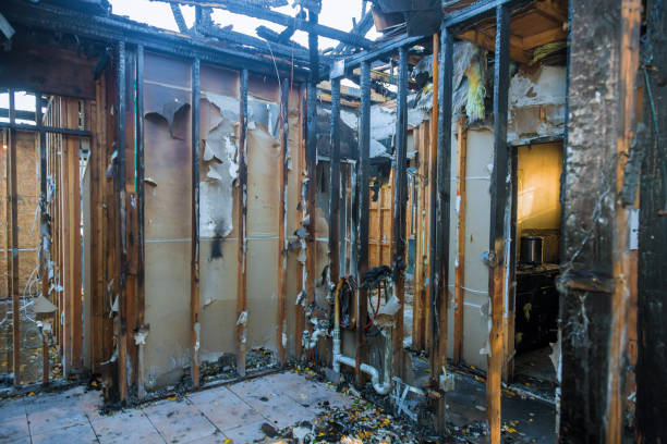 Professional Smoke Damage Removal technician working in Emigration Canyon, UT